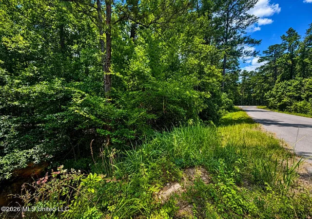 Homes for sale in Mc Lain, MS | 82 Acres Breland Rd, Mc Lain, MS 39456 | MLS# 4153105