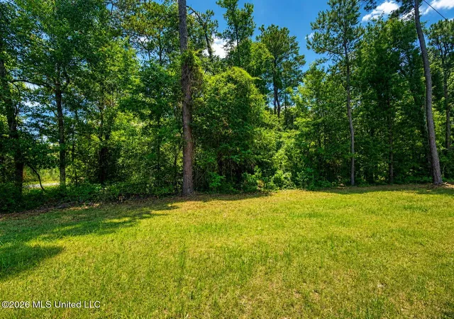 Homes for sale in Mc Lain, MS | 82 Acres Breland Rd, Mc Lain, MS 39456 | MLS# 4153105