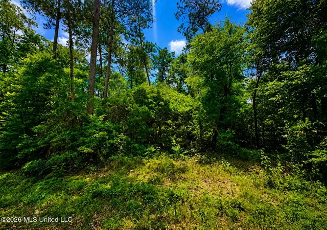Homes for sale in Mc Lain, MS | 82 Acres Breland Rd, Mc Lain, MS 39456 | MLS# 4153105