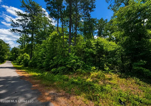 Homes for sale in Mc Lain, MS | 82 Acres Breland Rd, Mc Lain, MS 39456 | MLS# 4153105