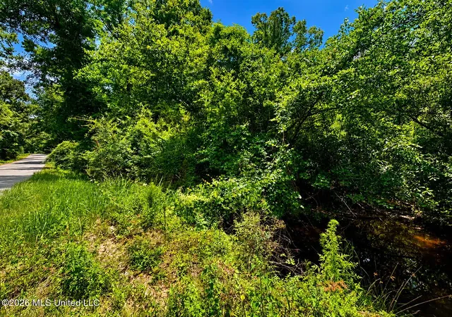 Homes for sale in Mc Lain, MS | 82 Acres Breland Rd, Mc Lain, MS 39456 | MLS# 4153105
