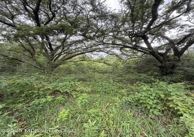 Photo 2 of Land for sale at 1465 Blue Meadow Rd, Bay Saint Louis, MS 39520 | MLS# 4153171 | Listing updated on 2026-06-18