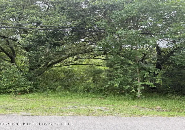 Photo 3 of Land for sale at 1465 Blue Meadow Rd, Bay Saint Louis, MS 39520 | MLS# 4153171 | Listing updated on 2026-06-18