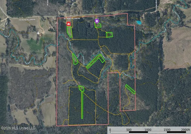 Photo 4 of Single family home for sale at 776 Raymond Williams, Sturgis, MS 39769 | MLS# 4153145 | Listing updated on 2026-08-31