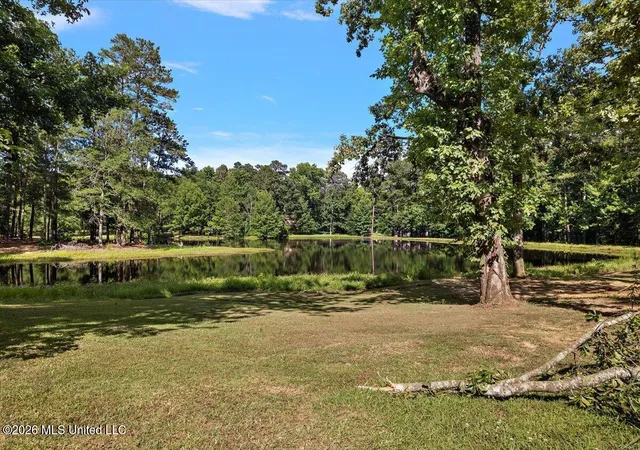 Homes for sale in Terry, MS | 402 Springwood Cir, Terry, MS 39170 | MLS# 4153152