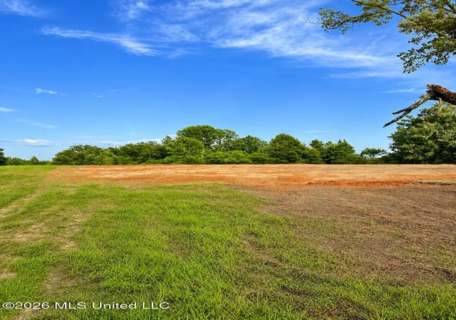 Homes for sale in Mize, MS | 8847 County Road 77, Mize, MS 39116 | MLS# 4153176