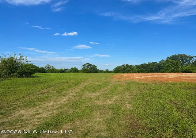 Homes for sale in Mize, MS | 8847 County Road 77, Mize, MS 39116 | MLS# 4153176