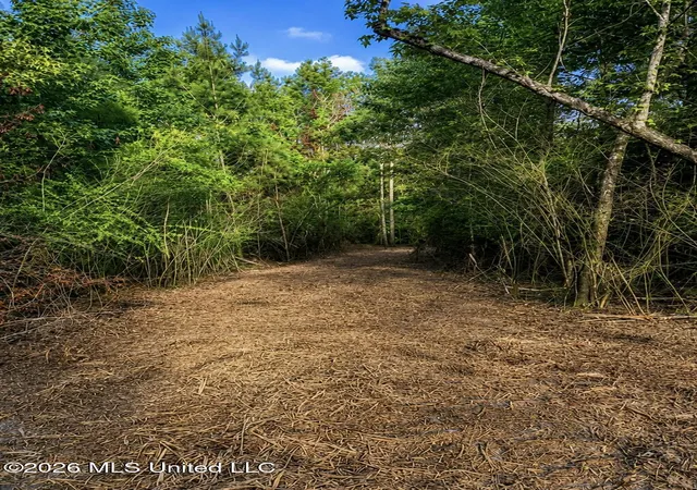 Photo 3 of Land for sale at 8847 County Rd 77, Mize, MS 39116 | MLS# 4153176 | Listing updated on 2026-08-01