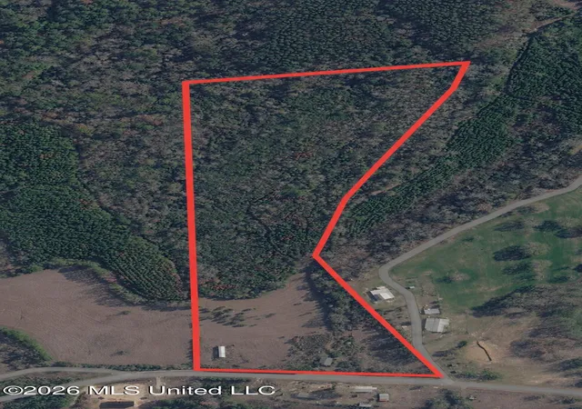 Homes for sale in Mize, MS | 8847 County Road 77, Mize, MS 39116 | MLS# 4153176