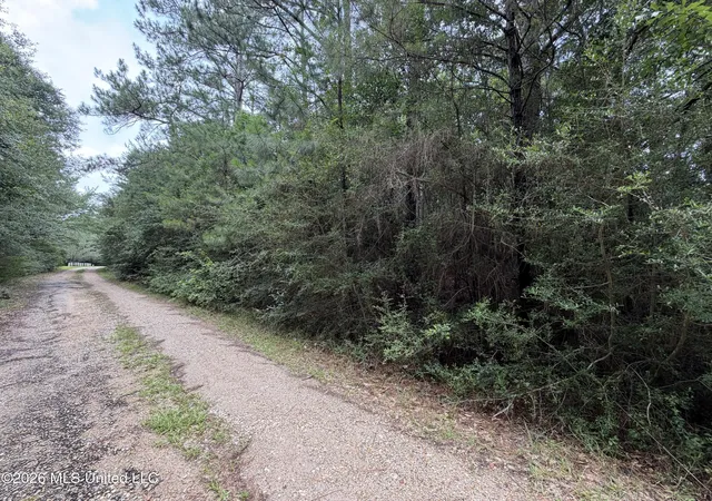 Homes for sale in Lumberton, MS | Misty Ln, Lumberton, MS 39455 | MLS# 4153187
