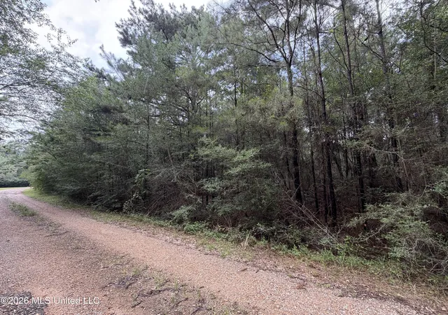 Homes for sale in Lumberton, MS | Misty Ln, Lumberton, MS 39455 | MLS# 4153187