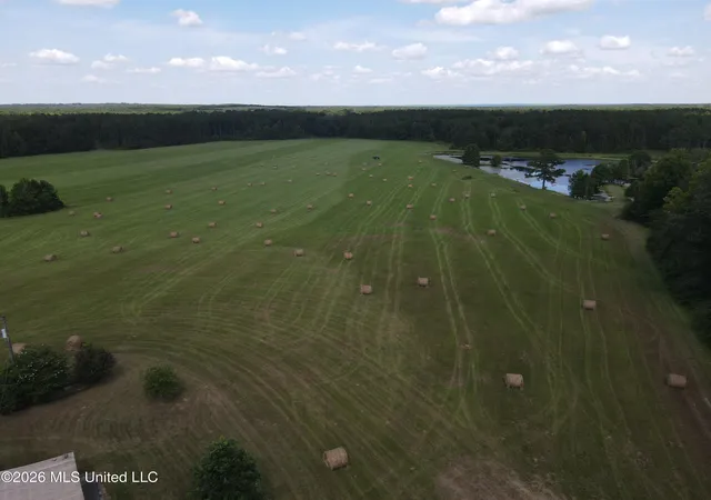 Photo 123 of Land for sale at 244 Foster Rd, Sontag, MS 39665 | MLS# 4153302 | Listing updated on 2026-07-27
