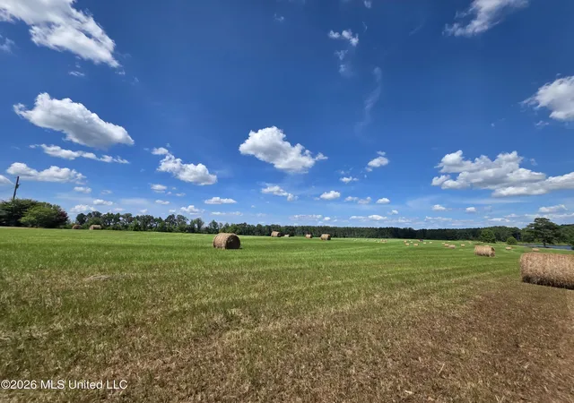 Photo 2 of Land for sale at 244 Foster Rd, Sontag, MS 39665 | MLS# 4153302 | Listing updated on 2026-07-27