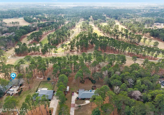 Homes for sale in Hattiesburg, MS | 87 Fairlake Dr, Hattiesburg, MS 39402 | MLS# 4153254