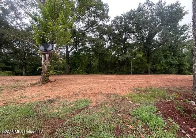 Homes for sale in Sallis, MS | 2347 Attala Road 4112, Sallis, MS 39160 | MLS# 4153270
