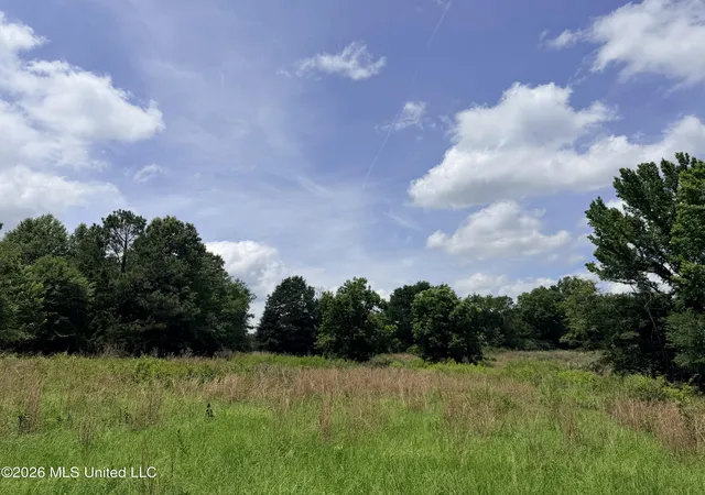 Photo 3 of Land for sale at Lot #2 Wildwood At Pinehaven Dr, Clinton, MS 39212 | MLS# 4153276 | Listing updated on 2026-08-20