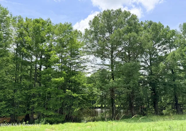 Photo 3 of Land for sale at Lot #11 Wildwood At Pinehaven Dr, Clinton, MS 39212 | MLS# 4153282 | Listing updated on 2026-08-20