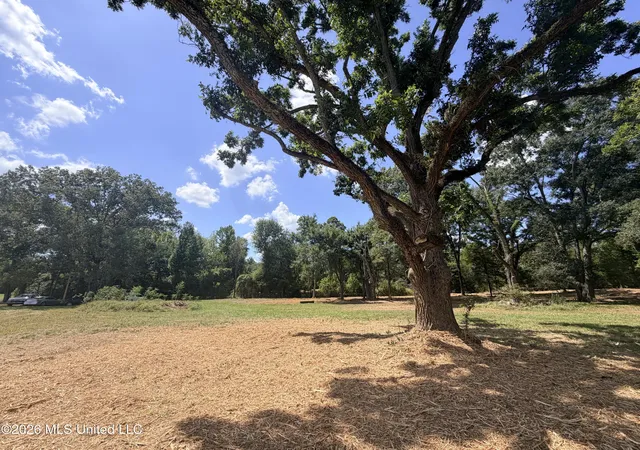Photo 3 of Land for sale at Lot #12 Wildwood At Pinehaven Dr, Clinton, MS 39212 | MLS# 4153284 | Listing updated on 2026-08-19