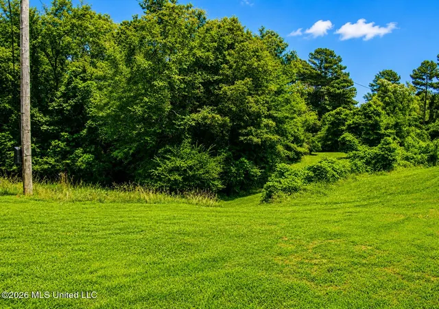 Homes for sale in Byhalia, MS | 12625 Byhalia Rd, Byhalia, MS 38611 | MLS# 4153325