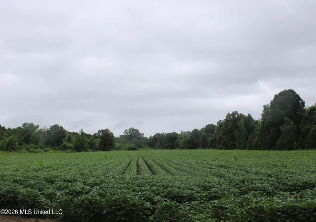 Homes for sale in Lamar, MS | 1500 Allen Corner Rd, Lamar, MS 38642 | MLS# 4153455