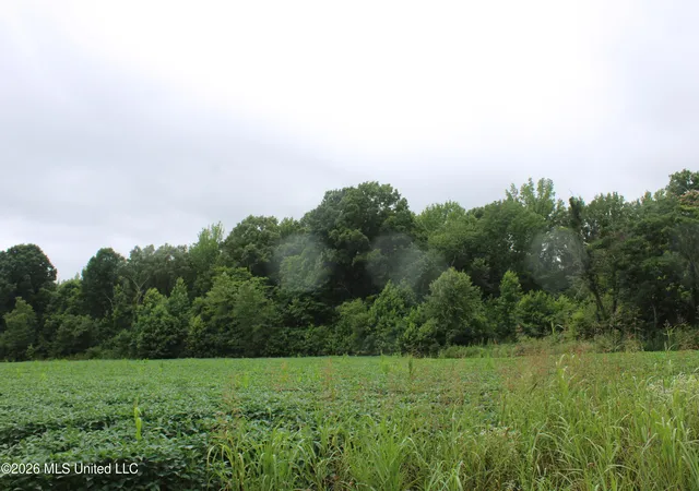 Homes for sale in Lamar, MS | 1500 Allen Corner Rd, Lamar, MS 38642 | MLS# 4153455