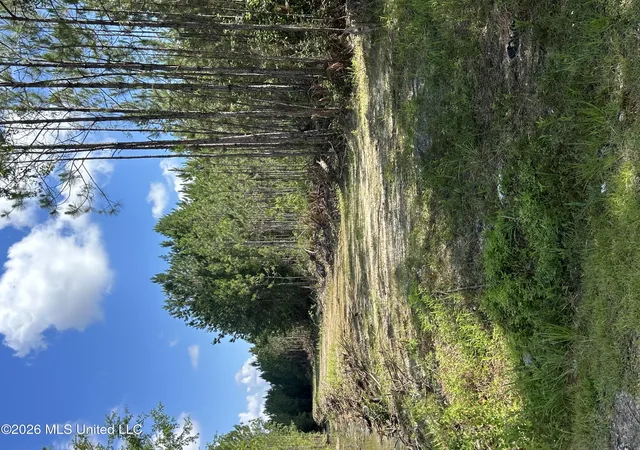 Photo 3 of Land for sale at Heidelburg Dr, Gautier, MS 39553 | MLS# 4153565 | Listing updated on 2026-06-22