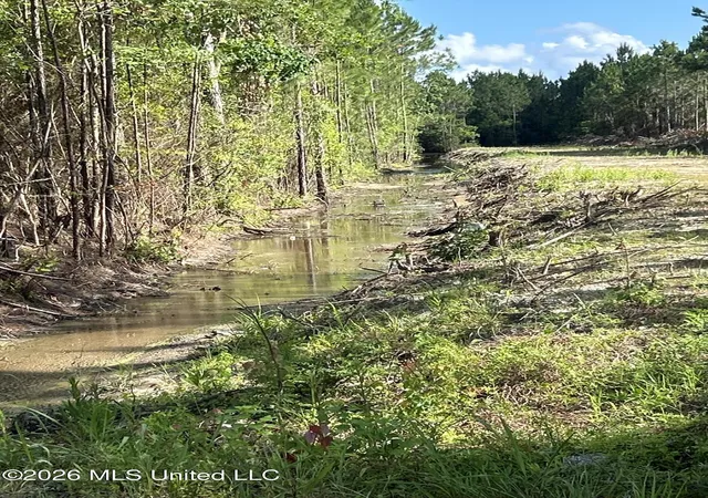 Homes for sale in Gautier, MS | Heidelburg Dr, Gautier, MS 39553 | MLS# 4153565