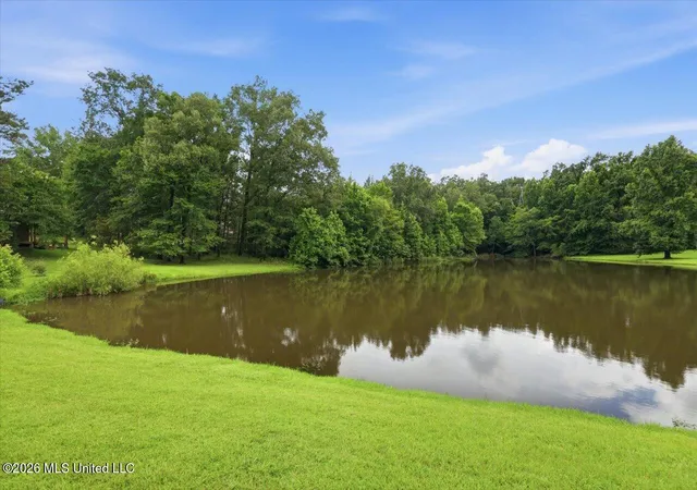 62nd image of 130 Bellemeade Dr, Clinton, MS 39056 | MLS# 4153682