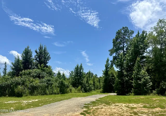 Homes for sale in Kosciusko, MS | 3390 Attala Road 3027, Kosciusko, MS 39090 | MLS# 4154146