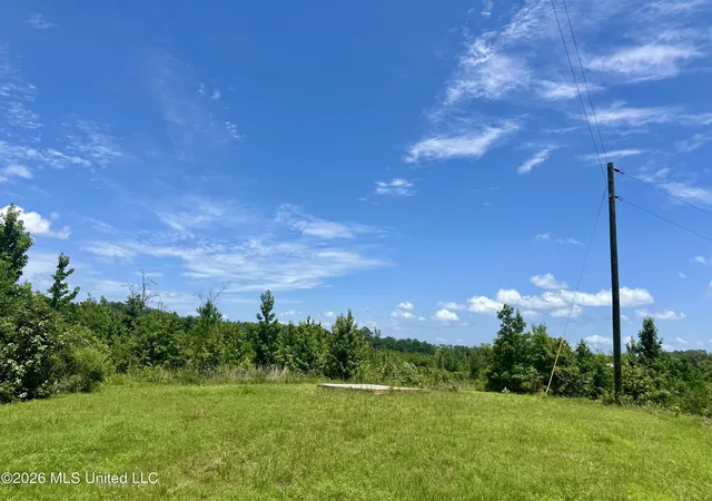 Homes for sale in Kosciusko, MS | 3390 Attala Road 3027, Kosciusko, MS 39090 | MLS# 4154146
