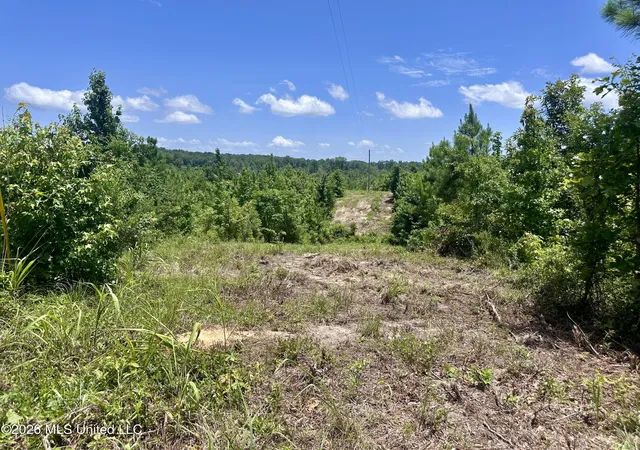 Homes for sale in Kosciusko, MS | 3390 Attala Road 3027, Kosciusko, MS 39090 | MLS# 4154146
