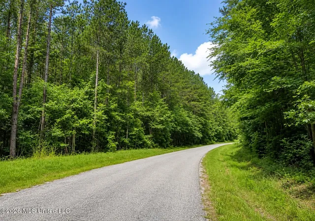 Homes for sale in Mize, MS | Scr Road 114, Mize, MS 39116 | MLS# 4153436