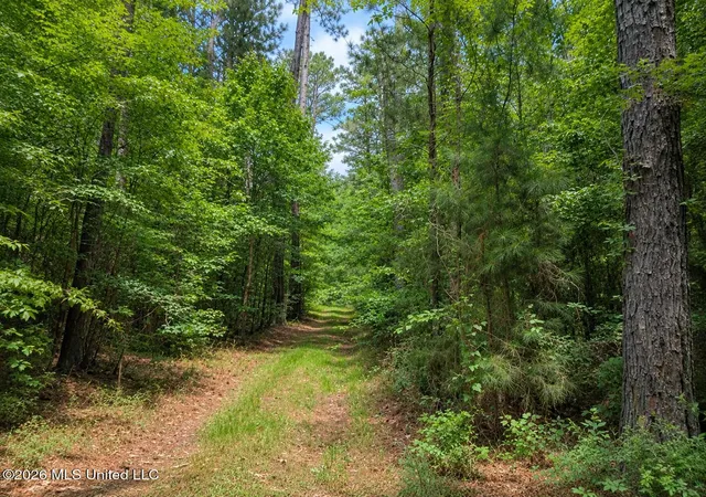Homes for sale in Mize, MS | Scr Road 114, Mize, MS 39116 | MLS# 4153436