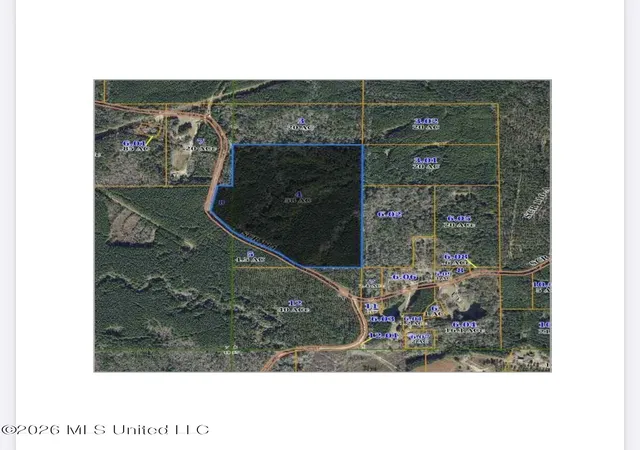 Photo 3 of Land for sale at Scr Rd 114, Mize, MS 39116 | MLS# 4153436 | Listing updated on 2026-06-20