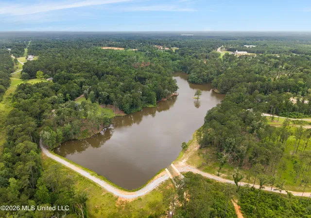 Homes for sale in Sumrall, MS | 14 Spring Lake Dr, Sumrall, MS 39482 | MLS# 4153438