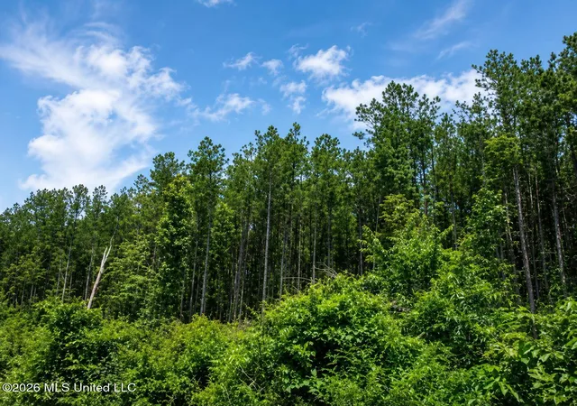 Homes for sale in Mize, MS | S C Road 114, Mize, MS 39116 | MLS# 4153440
