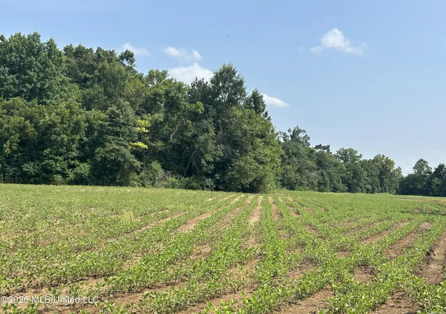 Photo 3 of Land for sale at Leflore County, Greenwood, MS 38930 | MLS# 4153454 | Listing updated on 2026-08-12