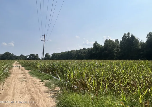 42nd image of Browning Road, Greenwood, MS 38930 | MLS# 4153454