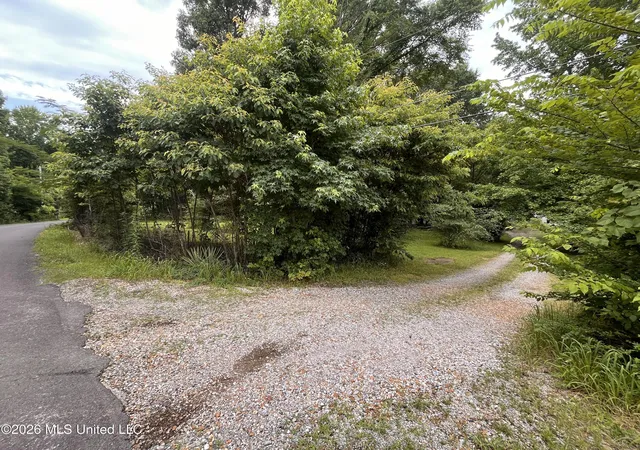 Homes for sale in Byhalia, MS | 53 Lenzi Rd, Byhalia, MS 38611 | MLS# 4153490