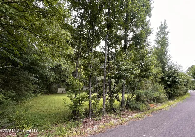 Homes for sale in Byhalia, MS | 53 Lenzi Rd, Byhalia, MS 38611 | MLS# 4153490