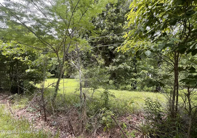 Homes for sale in Byhalia, MS | 53 Lenzi Rd, Byhalia, MS 38611 | MLS# 4153490