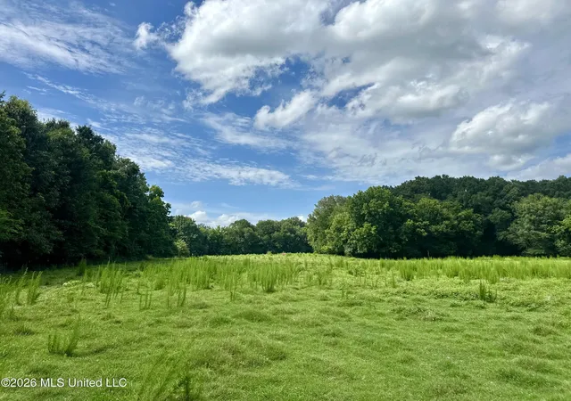 Homes for sale in Pickens, MS | Lexington Rd, Pickens, MS 39146 | MLS# 4154148