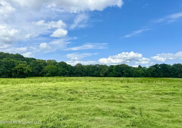Homes for sale in Pickens, MS | Lexington Rd, Pickens, MS 39146 | MLS# 4154148