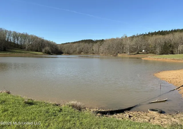 Homes for sale in Duck Hill, MS | 401 S Binford Ave, Duck Hill, MS 38925 | MLS# 4153482