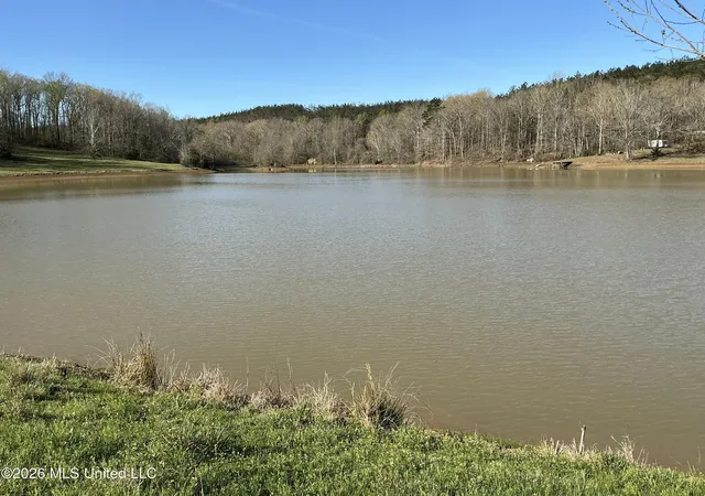 Homes for sale in Duck Hill, MS | 401 S Binford Ave, Duck Hill, MS 38925 | MLS# 4153482