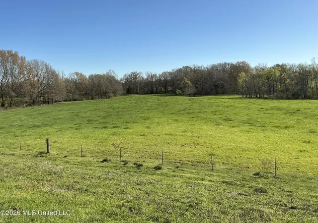 Homes for sale in Duck Hill, MS | 401 S Binford Ave, Duck Hill, MS 38925 | MLS# 4153482