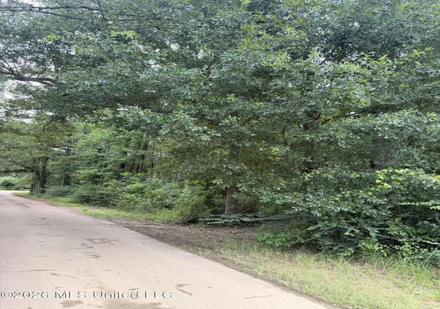 Homes for sale in Mc Comb, MS | Cedar Ridge, Mc Comb, MS 39648 | MLS# 4153500