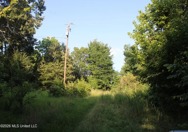 Homes for sale in Lake Cormorant, MS | 2000 Sparks Rd, Lake Cormorant, MS 38641 | MLS# 4153623