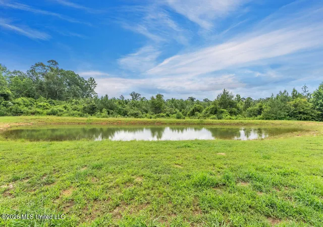 Homes for sale in Perkinston, MS | 83 Walker Cemetery Rd, Perkinston, MS 39573 | MLS# 4153757