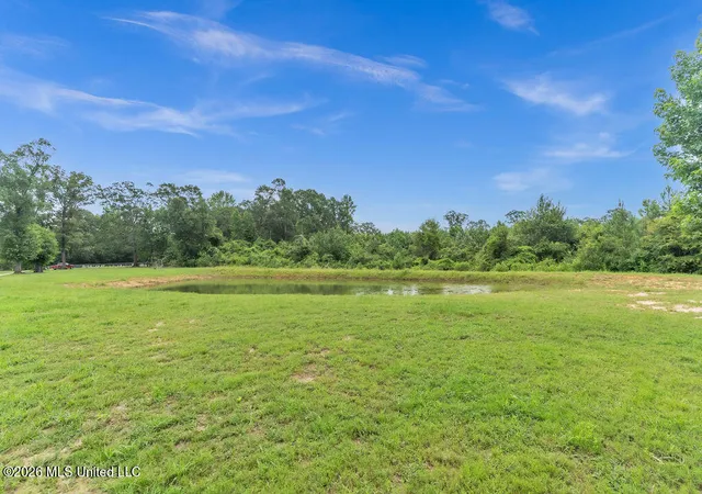 Homes for sale in Perkinston, MS | 83 Walker Cemetery Rd, Perkinston, MS 39573 | MLS# 4153757